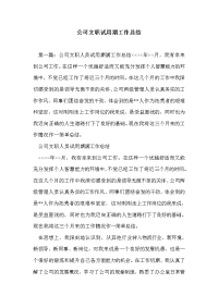 公司文职试用期工作总结