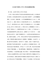 公安局户政科上半年工作总结(精选多篇)