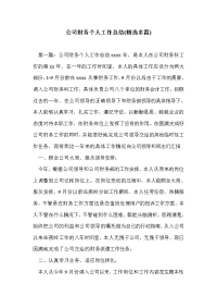 公司财务个人工作总结(精选多篇)