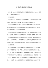 公司试用员工转正工作总结