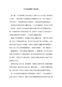 公司试用期工作总结