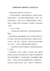 共青团区委青年志愿者协会工作总结及计划