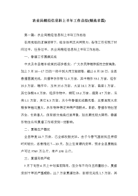 农业局粮经信息科上半年工作总结(精选多篇)