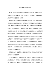 分公司财务工作总结