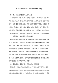 初三语文教师个人工作总结(精选多篇)