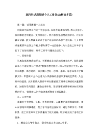 副局长试用期满个人工作总结(精选多篇)