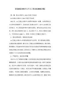 劳动就业训练中心个人工作总结(精选多篇)