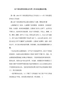 县个体私营经济协会年终工作总结(精选多篇)