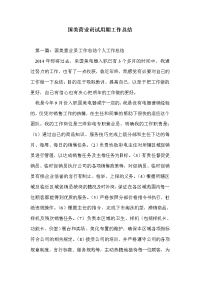 国美营业员试用期工作总结