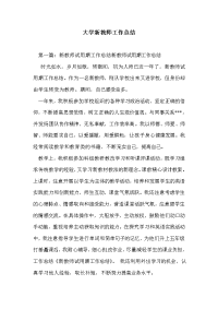 大学新教师工作总结