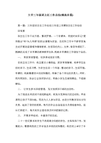 大学三年级班主任工作总结(精选多篇)