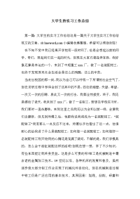 大学生的实习工作总结