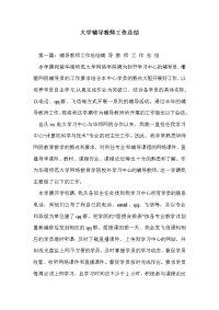 大学辅导教师工作总结