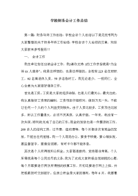 学校财务会计工作总结