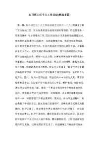 实习班主任个人工作总结(精选多篇)_0