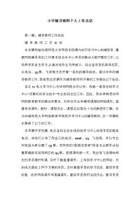 小学辅导教师个人工作总结