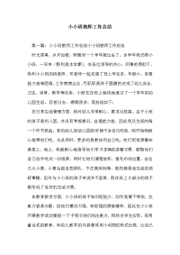 小小班教师工作总结