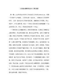 工业企业财务会计工作总结