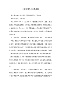 小贷公司个人工作总结