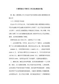 小额贷款公司财务工作总结(精选多篇)