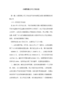 小额贷款公司工作总结