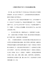 工商银行营业厅实习工作总结(精选多篇)