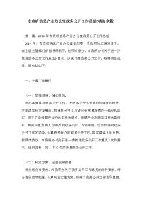 市政府信息产业办公室政务公开工作总结(精选多篇)