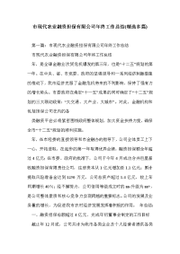 市现代农业融资担保有限公司年终工作总结(精选多篇)