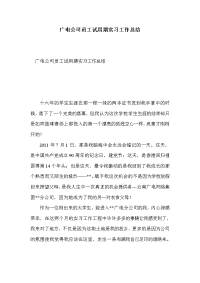 广电公司员工试用期实习工作总结