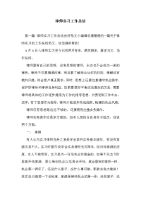 律师实习工作总结