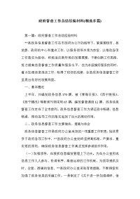 政府督查工作总结经验材料(精选多篇)