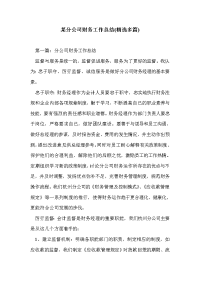 某分公司财务工作总结(精选多篇)