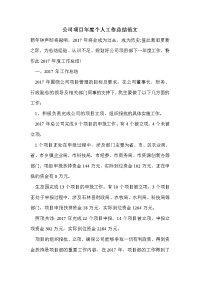 公司项目年度个人工作总结范文