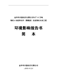 化纤有限公司年产12万吨锦纶6功能性切片及差别化长丝工程环境影响报告书［优质环评报告］word