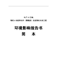 年产12万吨锦纶6功能性切片及差别化长丝工程环境影响报告书