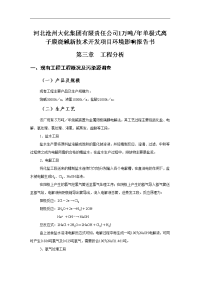 河北沧州大化集团有限责任公司1万吨年单极式离子膜烧碱新技术开发项目环境影响报告书word