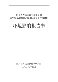 盐化有限公司年产20万吨聚氯乙烯及配套装置技改项目环境影响报告书word