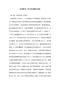 民政财务工作总结(精选多篇)