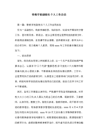 特教学校副校长个人工作总结