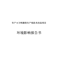 建德市新安江镍合金有限公司年产8万吨镍铁生产线技术改造项目环境影响报告书