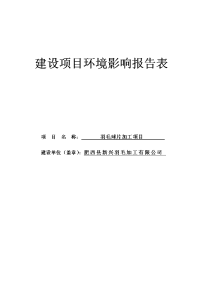 新兴羽毛加工有限公司羽毛球片加工项目环境影响报告表