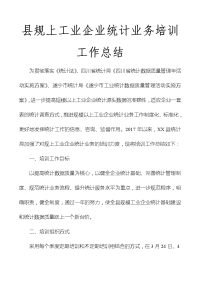 县规上工业企业统计业务培训工作总结