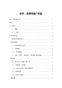 新年以及元宵节推广方案
