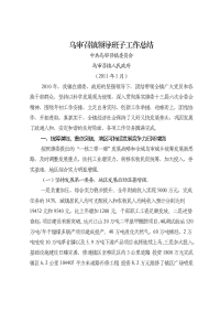 2010年乌审召镇领导班子工作总结