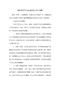 业务员实习计划_业务员工作计划表