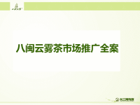 八闽云雾茶市场推广方案全案