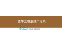 豪华五粮液整合营销推广方案