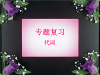 英语语法课件 专题复习代词