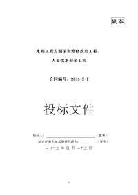 小型农田水利渠道维修改造工程及人畜饮水工程投标文件样本