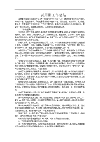 软件工程师试用期工作总结